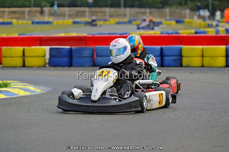 DSC_ (1465).jpg